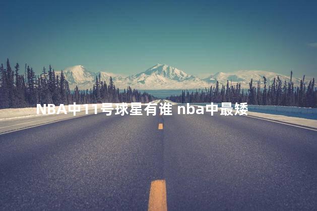NBA中11号球星有谁 nba中最矮的球员是谁